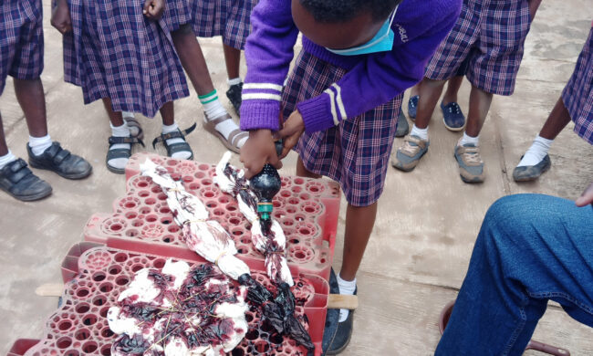 Berachah Jubilee International School (14)